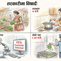 भारतीय दूतावासमा मनाइयो स्वतन्त्रता दिवस