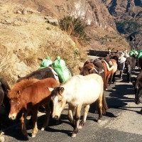 ‘मधेस प्रदेश पर्यटकीय सम्भावनाको उर्बरभूमि’