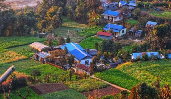 मिर्गेका किसानको खेतीबाट लाखौंको आम्दानी