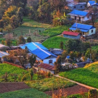 क्रिप्टो कारोबारमा युवा संलग्नता बढी