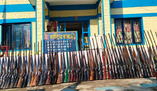 एक सय १५ थान भरुवा बन्दुक बरामद