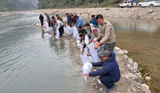 यू–१९ राष्ट्रिय महिला फुटबल टोलीको मुख्य प्रशिक्षकको जिम्मेवारी श्रेष्ठलाई