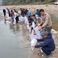 स्याङ्जामा एक अर्ब ३२ करोडको सुन्तला उत्पादन