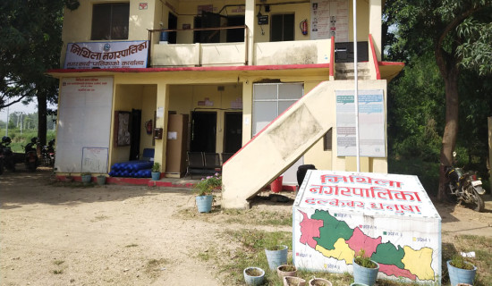 मनहरी खोलामा ५२ हजार माछाको भुरा छाडियो