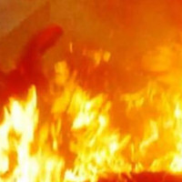 मनहरी खोलामा ५२ हजार माछाको भुरा छाडियो