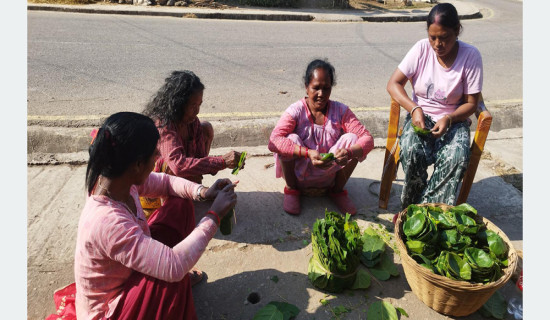 थारू बस्तीमा माघी पर्वको तयारी सुरु
