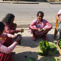 नारायणगढ–गैँडाकोट आइकोनिक केबल–स्टेड पुल निर्माणले लियो गति