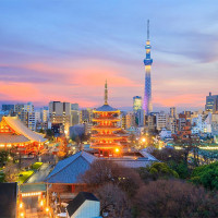 झापाको दमक ३ दुम्सेमा रेबिजको प्रकोप