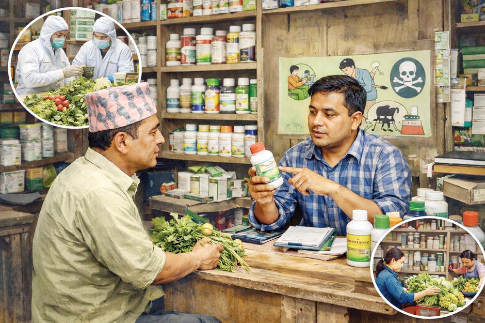 विषादी बेचबिखनमै बेथिति, प्राविधिकभन्दा एग्रोभेटकै भरमा किसान