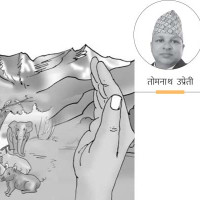 तराईमा घाम चम्किने आशा