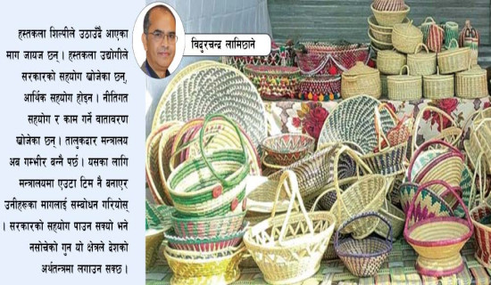 बालमैत्री स्थानीय शासन : लक्ष्यको आठ प्रतिशतमा सीमित