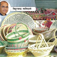 वर्णशङ्कर बिउ खोज्दा रैथाने लोप