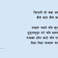 जापानमा प्रशिक्षार्थी श्रमिक पठाउन सहज