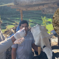 साकार होस् प्रवीणको सपना