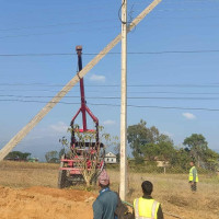 गुल्मीमा चरा प्रजातिको सङ्ख्या ३५५ पुग्यो