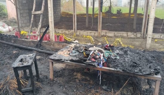 एसिडी सम्मेलनमा सहभागी हुन प्रधानमन्त्रीलाई कतारका राजाको निमन्त्रणा