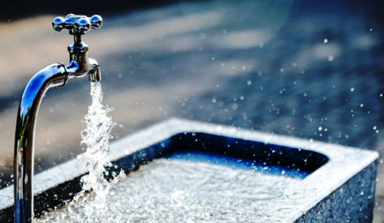 कुखुरा फर्ममा आगलागी : एक हजार चल्ला जलेर नष्ट, ११ लाखको क्षति