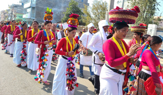 माघे सङ्क्रान्तिमा चाकु