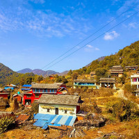 सधैँ महँगो भान्सा