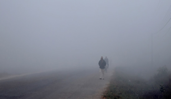 गुणस्तर चिह्न नवीकरणमा सहज