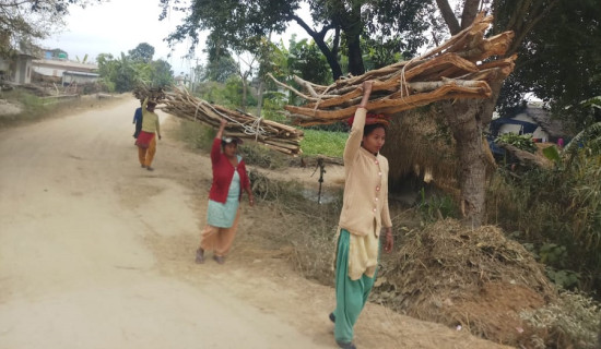 नेपाल ओलम्पिक कमिटी नेतृत्वलाई आइओसीको मान्यता