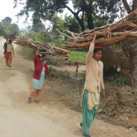 हातमा लालपुर्जा जोतभोग अनिश्चित