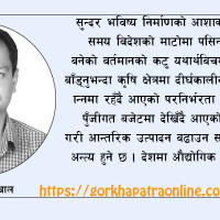 हिउँविहीन बने हिमाल