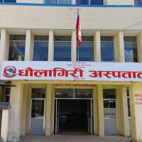 पित्तथैलीको पत्थरी