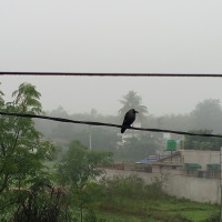 महिला राजनीतिज्ञको समाचार 'कभरेज'मा गोरखापत्र सबैभन्दा अगाडि