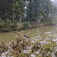 रौतहट २ मा स्वतन्त्र किरणकुमार साह विजयी