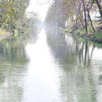 दाङमा अट्वारी पर्वको उल्लास