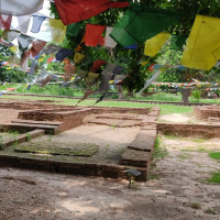 कपिलवस्तु २ (ख) मा कांग्रेसका सुधाकर पाण्डेय विजयी