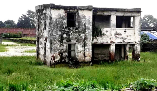 आर्मीलाई हराउँदै सुदूरपश्चिम–११ सेमिफाइनलमा