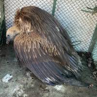 सुती कपडा उद्योग बन्द