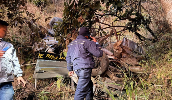 मकवानपुरमा सुमो दुर्घटना : नौ जना घाइते