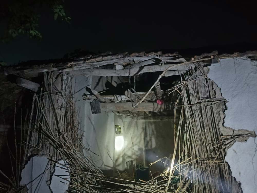 जङ्गली हात्तीको आतङ्क बढ्दै