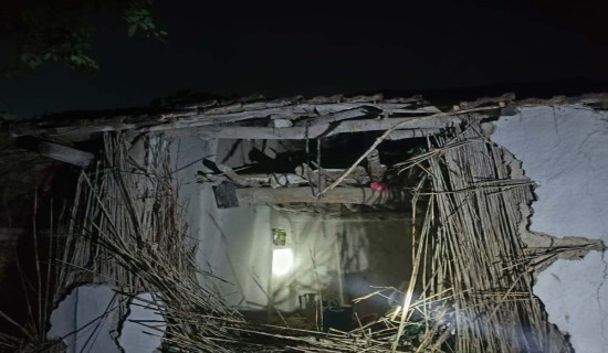 जङ्गली हात्तीको आतङ्क बढ्दै