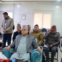 ढुंगा लागेर महिलाको मृत्यु