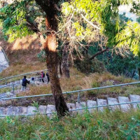 बसमाथि ढुङ्गा खस्दा एक जनाको मृत्यु