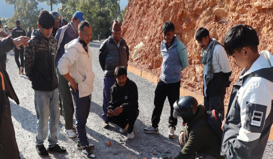 कांग्रेसले गरेका कामको प्रचार हुन सकेन : वरिष्ठ नेता पौडेल