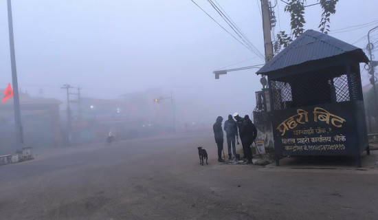 प्युठानमा सरायँ नाचको रौनक