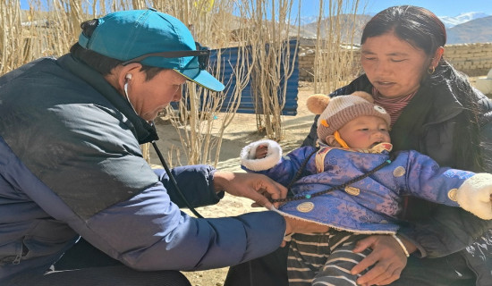 मादी नदीमाथि सिग्नेचर पुल बन्ने