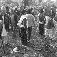 रौतहट १ मा एमालेबाट अजय गुप्ताको एकल सिफारिस