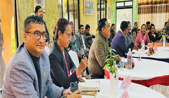 तीन जिल्लाका पालिका प्रमुखको साझा प्रतिबद्धता