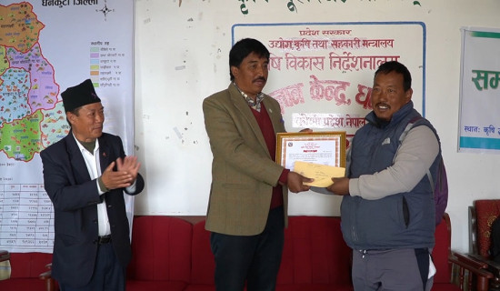धेरै धान उत्पादन गर्ने कृषक पुरस्कृत