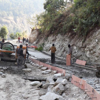 बढ्दै डेङ्गु सङ्क्रमण