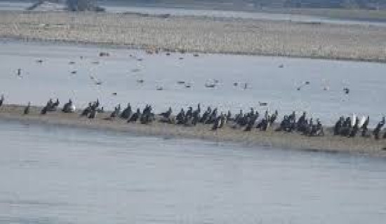 बेनी-जोमसोम-कोरला सडकको म्याग्दी खण्डमा पहिरोको चुनौती