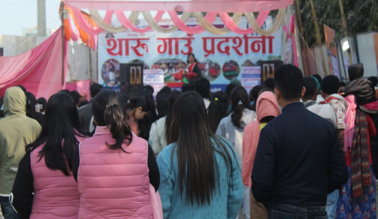 महोत्सवमा घरेलु उत्पादनतर्फ दर्शकको आकर्षण