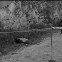 जसपाको महाधिवेशन सकियो, कार्यसमिति चयनको जिम्मा अध्यक्षलाई