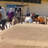 बौद्ध शिक्षा पढ्न भन्दै भारत पुगेका १६ बालबालिकाको उद्धार